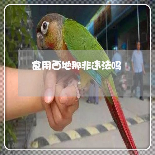 食用西地那非违法吗 食用西地那非违法吗