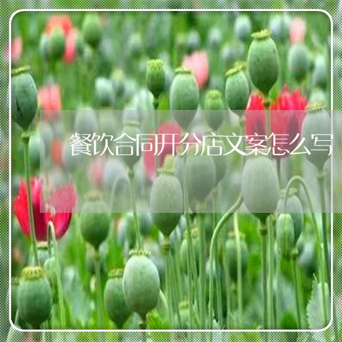 餐饮合同开分店文案怎么写/2023022617159 餐饮合同开分店文案怎么写/2023022617159