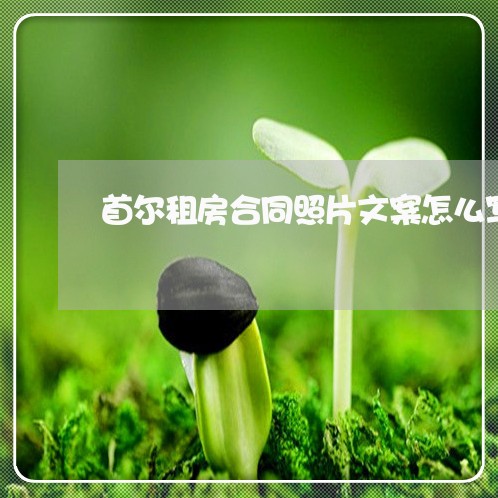 首尔租房合同照片文案怎么写/2023022780415 首尔租房合同照片文案怎么写/2023022780415