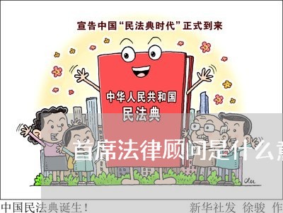 首席法律顾问是什么意思 首席法律顾问是什么意思