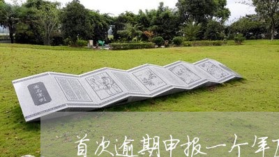 首次逾期申报一个年度内 首次逾期申报一个年度内