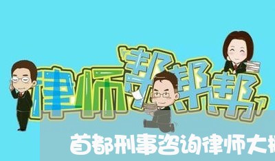 首都刑事咨询律师大概多少钱