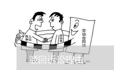 驳回诉讼理由 驳回诉讼理由