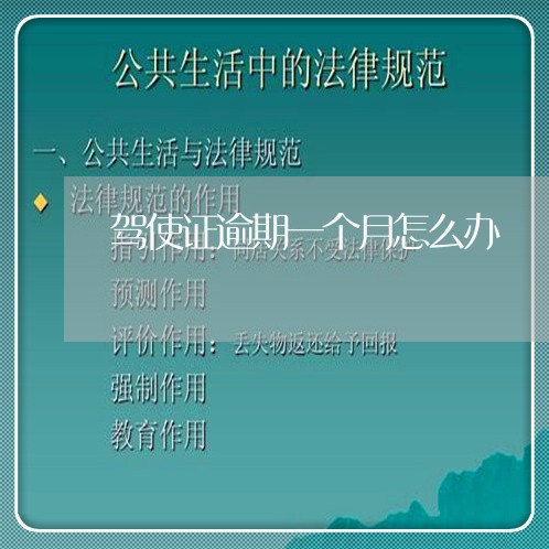 驾使证逾期一个月怎么办