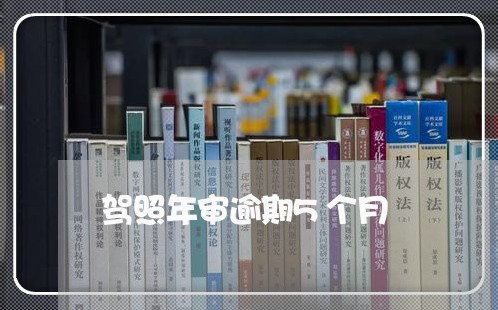 驾照年审逾期5个月