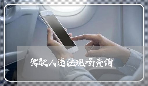 驾驶人违法现场查询 驾驶人违法现场查询