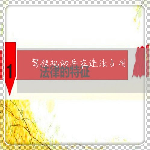 驾驶机动车在违法占用
