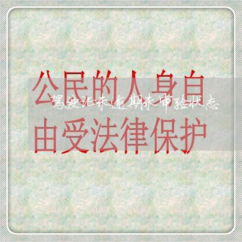 驾驶证未逾期未审验状态
