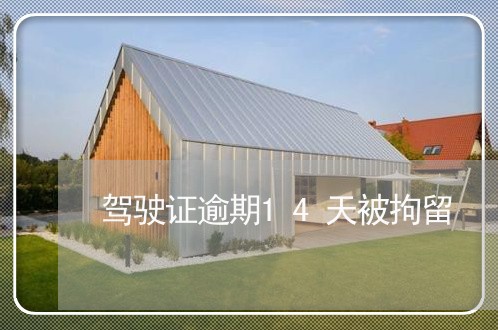 驾驶证逾期14天被拘留 驾驶证逾期14天被拘留