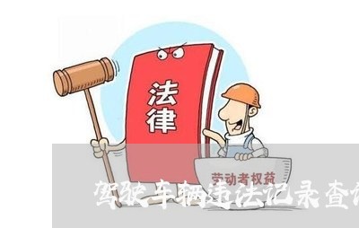 驾驶车辆违法记录查询