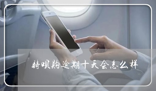 骑呗购逾期十天会怎么样