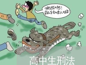 高中生刑法