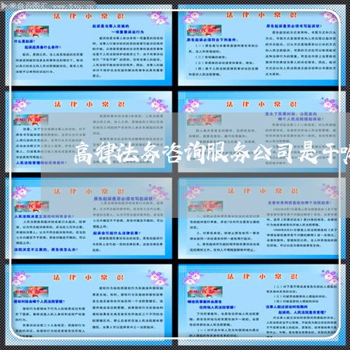 高律法务咨询服务公司是干嘛的 高律法务咨询服务公司是干嘛的