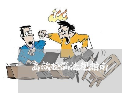 高效检漏法规指南 高效检漏法规指南