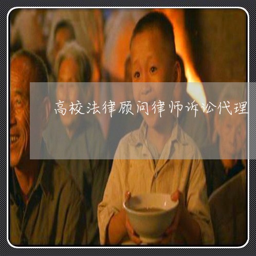 高校法律顾问律师诉讼代理