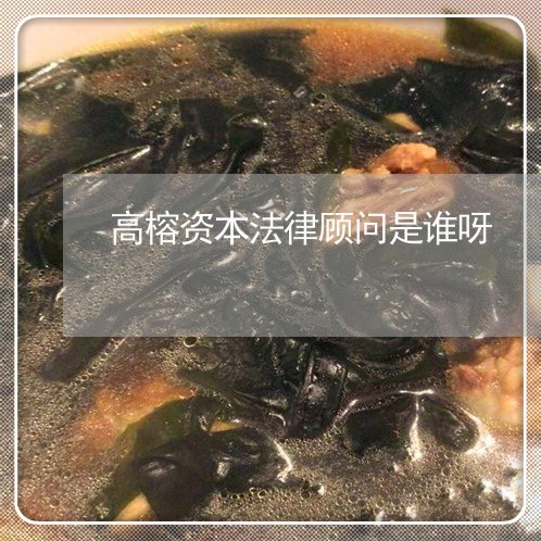 高榕资本法律顾问是谁呀 高榕资本法律顾问是谁呀