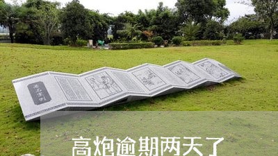 高炮逾期两天了