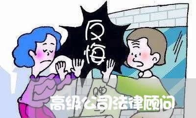 高级公司法律顾问 高级公司法律顾问