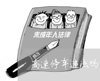 高速停车违法吗