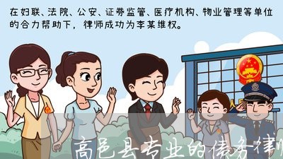 高邑县专业的债务律师选谁