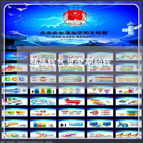 魅族钱包里逾期的钱