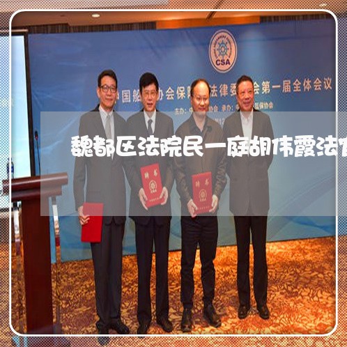 魏都区法院民一庭胡伟霞法官