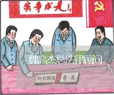 魏高杰总法律顾问 魏高杰总法律顾问