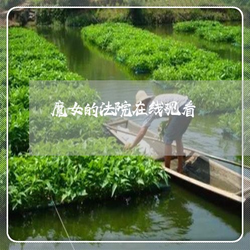 魔女的法院在线观看 魔女的法院在线观看