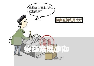 鲁商发展逾期