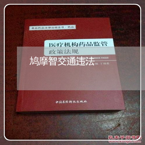 鸠摩智交通违法 鸠摩智交通违法