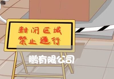 鹏有限公司 鹏有限公司