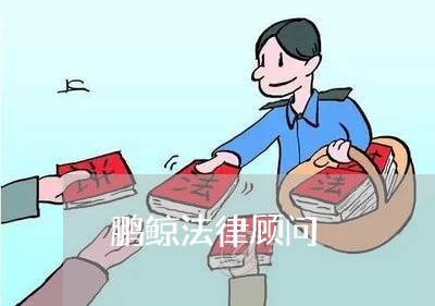鹏鲸法律顾问 鹏鲸法律顾问