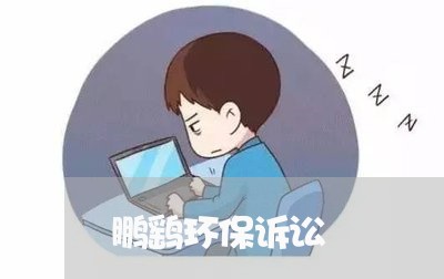 鹏鹞环保诉讼