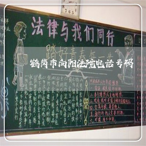 鹤岗市向阳法院电话号码 鹤岗市向阳法院电话号码