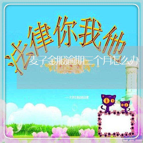 麦子金服逾期三个月怎么办