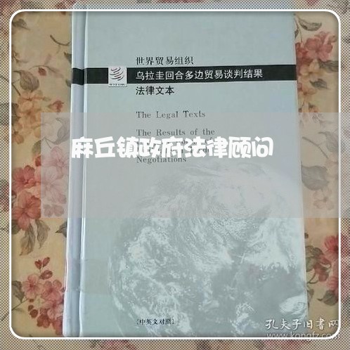 麻丘镇政府法律顾问 麻丘镇政府法律顾问