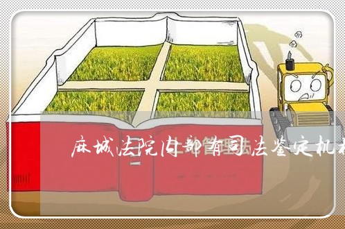 麻城法院内部有司法鉴定机构吗