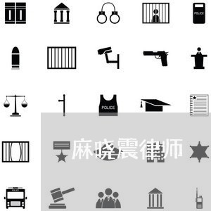 麻晓震律师 麻晓震律师