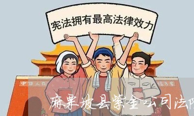 麻栗坡县紫金公司法院开庭