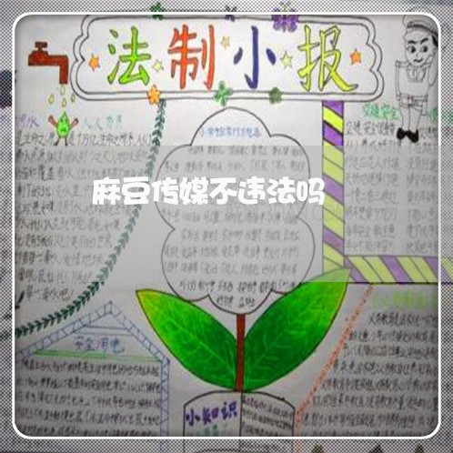 麻豆传媒不违法吗