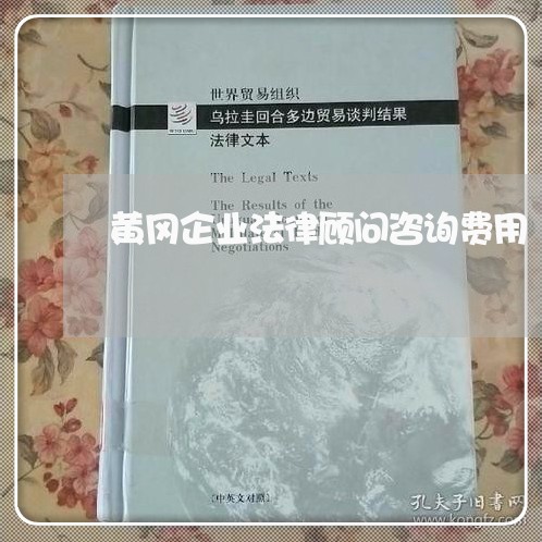 黄冈企业法律顾问咨询费用/2023061983837