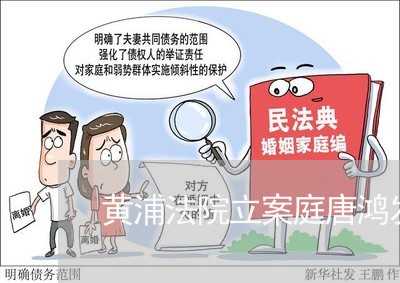 黄浦法院立案庭唐鸿发