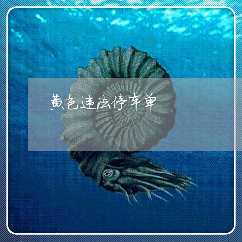 黄色违法停车单 黄色违法停车单