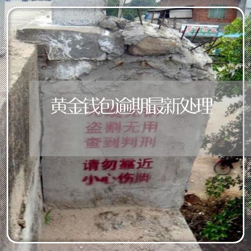 黄金钱包逾期最新处理 黄金钱包逾期最新处理