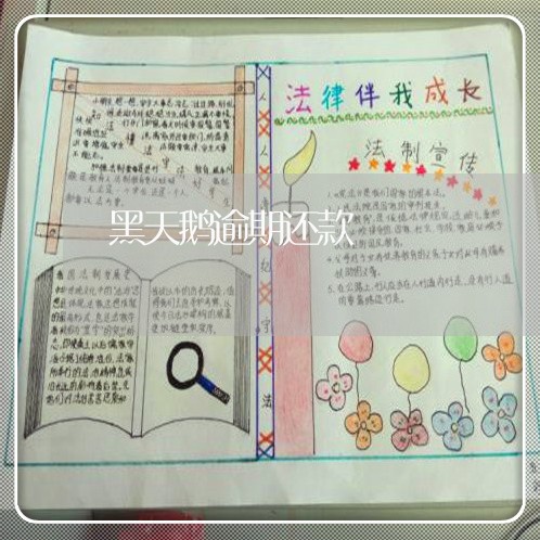 黑天鹅逾期还款 黑天鹅逾期还款