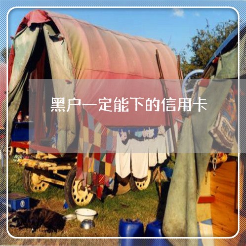 黑户一定能下的信用卡