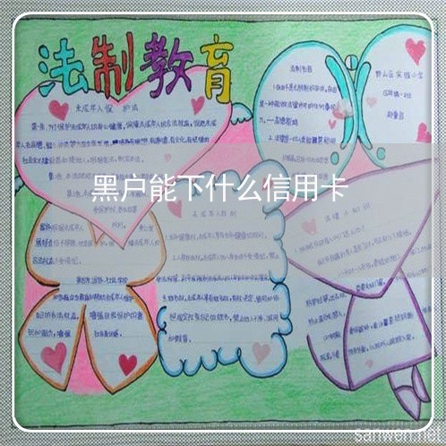 黑户能下什么信用卡 黑户能下什么信用卡
