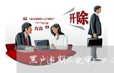 黑户逾期不电审500