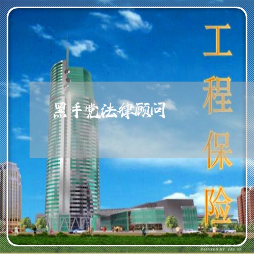 黑手党法律顾问 黑手党法律顾问