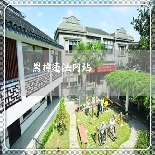 黑掉违法网站
